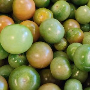 grønne-tomater